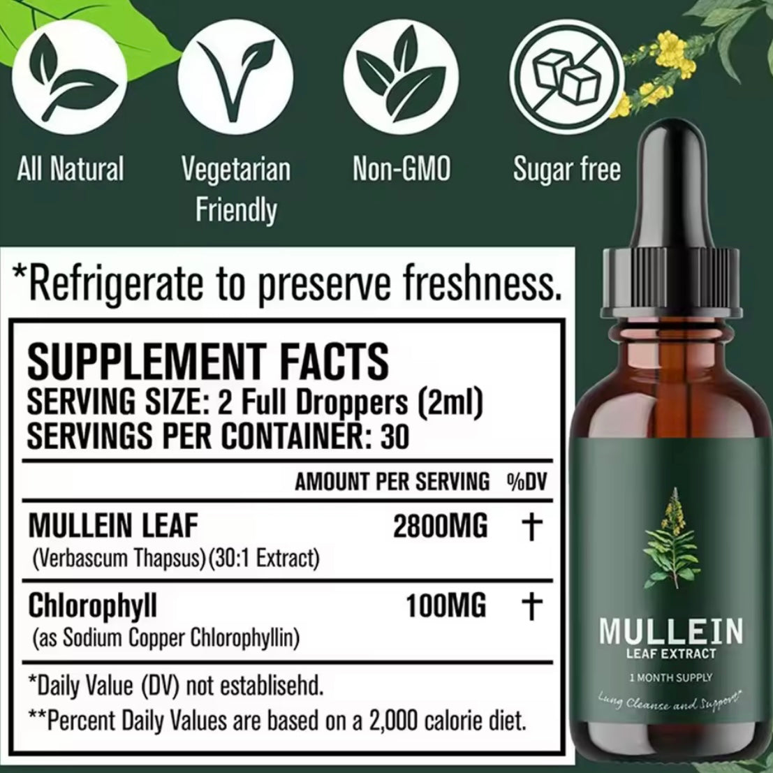 Mullein Leaf Extract