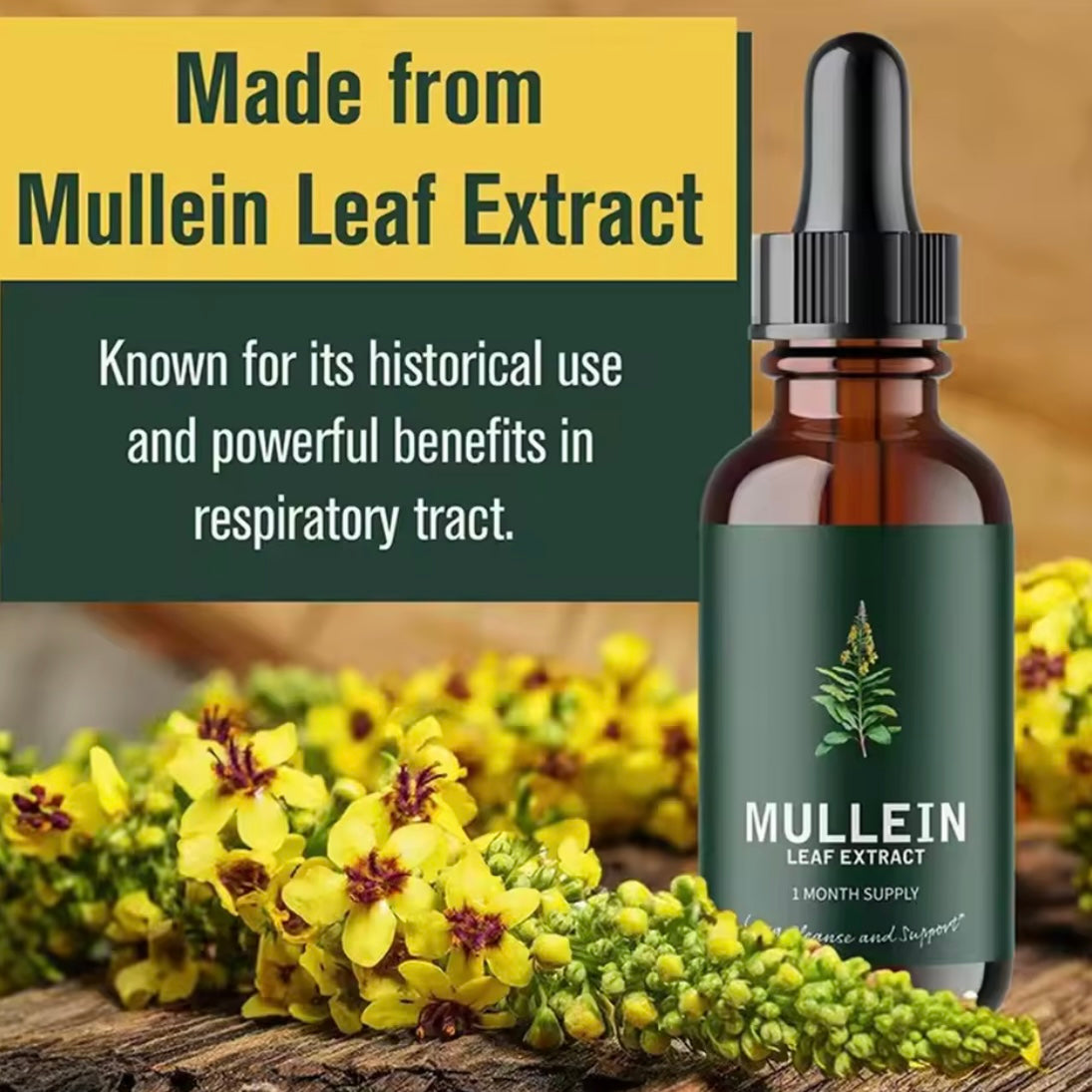 Mullein Leaf Extract