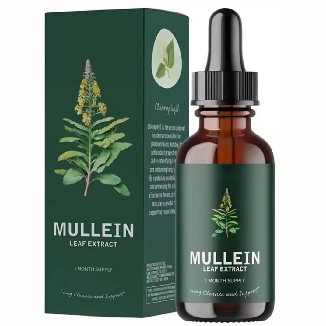 Mullein Leaf Extract